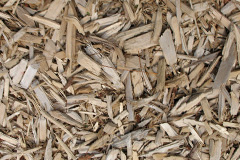 biomass boilers Birchend